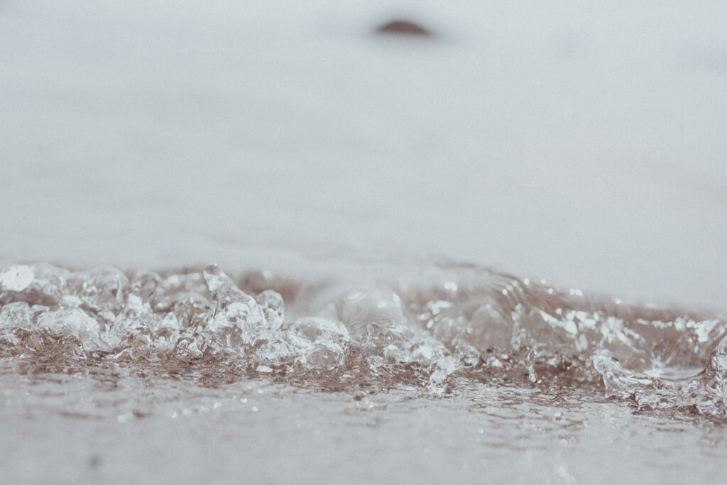 Häpeä ja tietoisuus. Pieni veden luoma tyrsky meren rannalla.