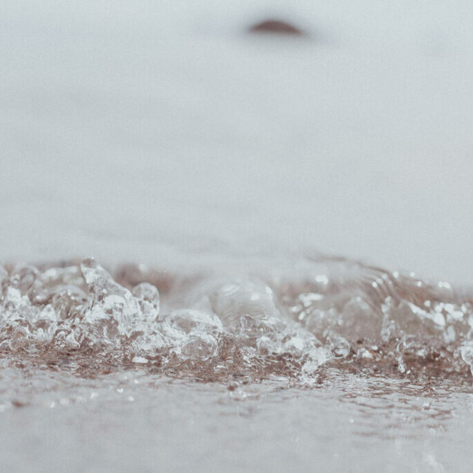 Häpeä ja tietoisuus. Pieni veden luoma tyrsky meren rannalla.