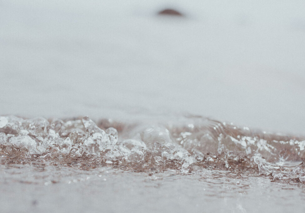 Häpeä ja tietoisuus. Pieni veden luoma tyrsky meren rannalla.